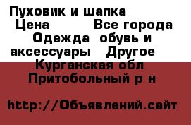 Пуховик и шапка  Adidas  › Цена ­ 100 - Все города Одежда, обувь и аксессуары » Другое   . Курганская обл.,Притобольный р-н